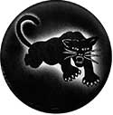 black panther party pin button