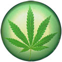 cannabis button