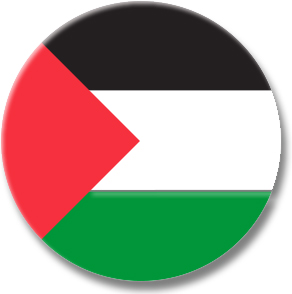 palestine flag pin button
