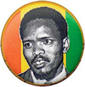 Stephen Biko
